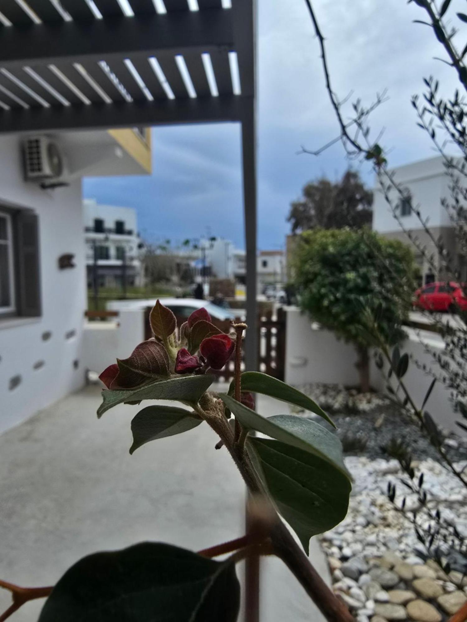 The Garden House Villa Tinos Luaran gambar